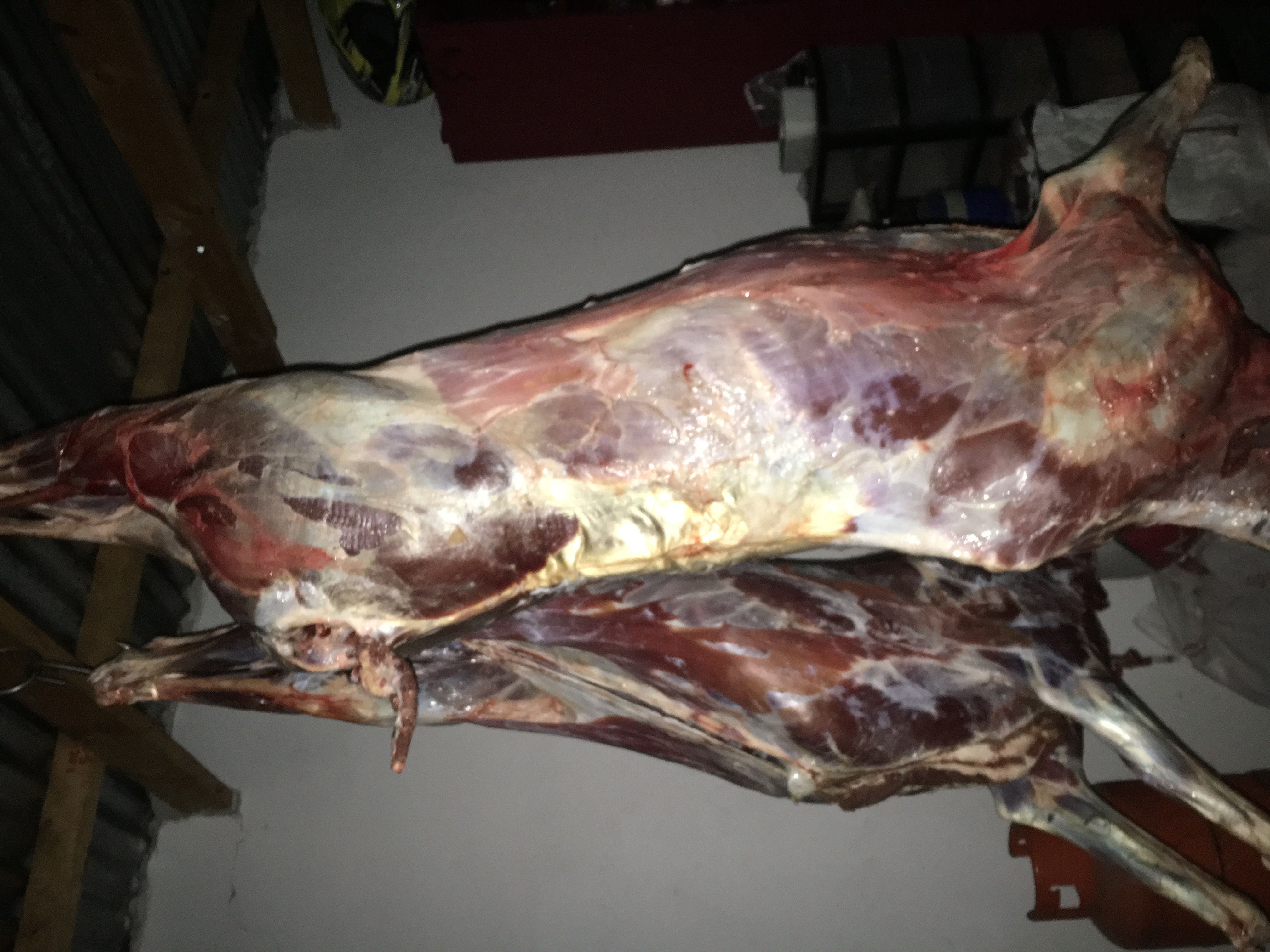 Game Meat Trader