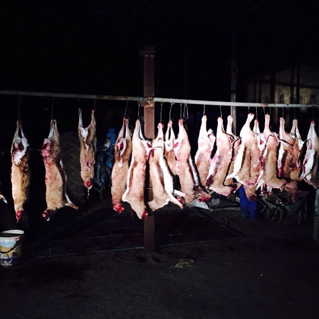 Game Meat Trader