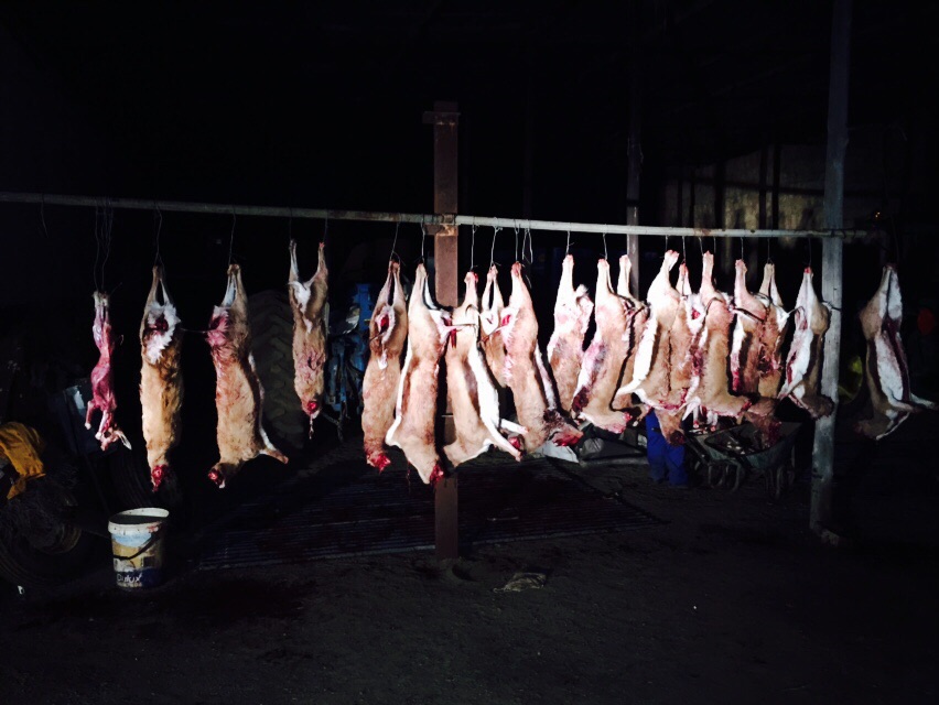 Game Meat Trader