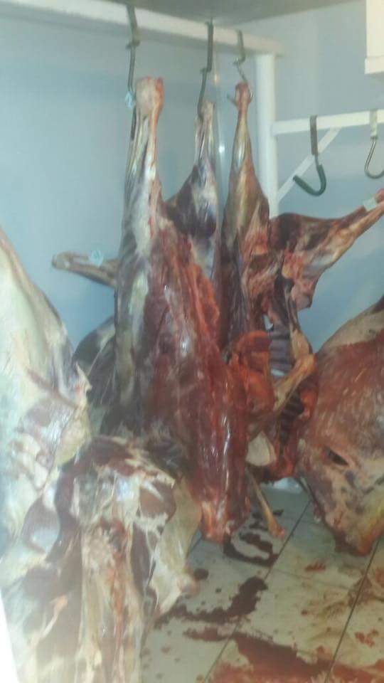 Game Meat Trader